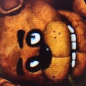 Meet your Posher, Boone